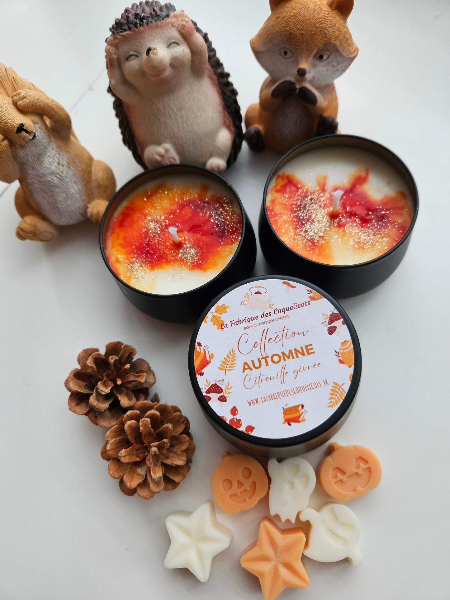 Bougie édition limité halloween / automne / magie, soirée automne hello fall déco intérieur automne
