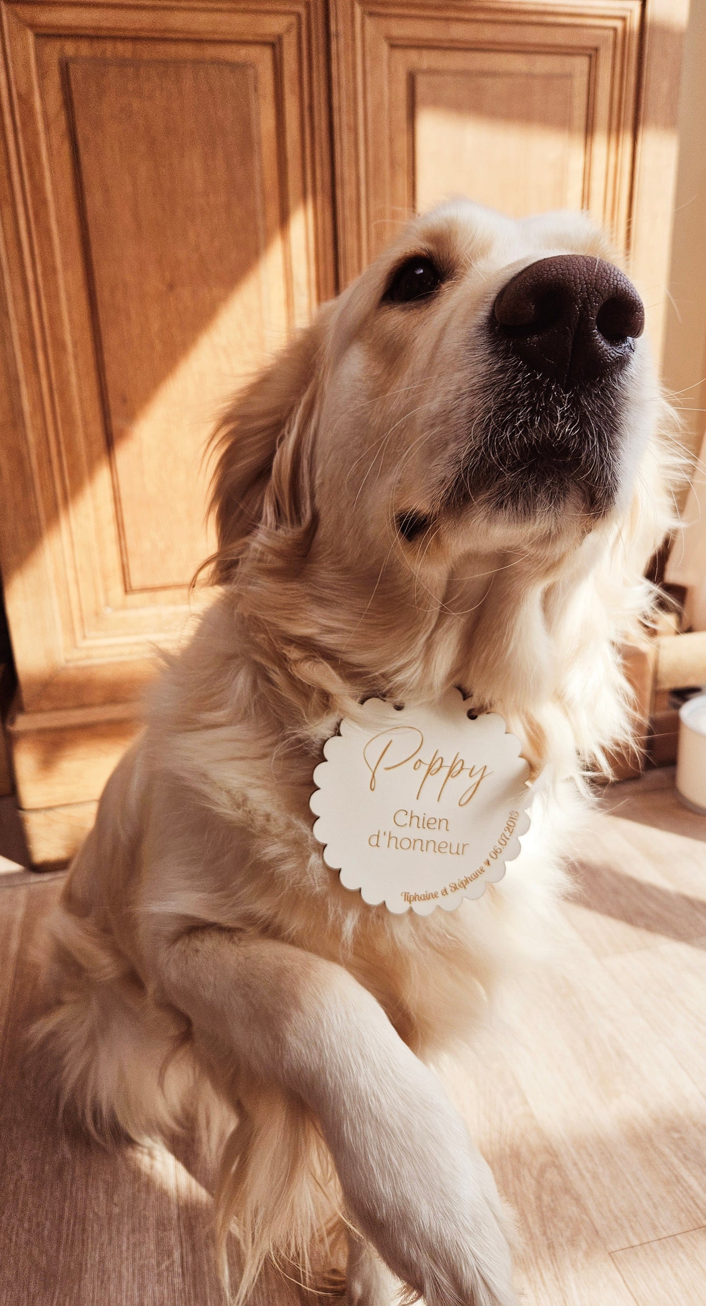 Pancarte en bois personnalisée "CHIEN D'honneur" / mariage / décoration mariage