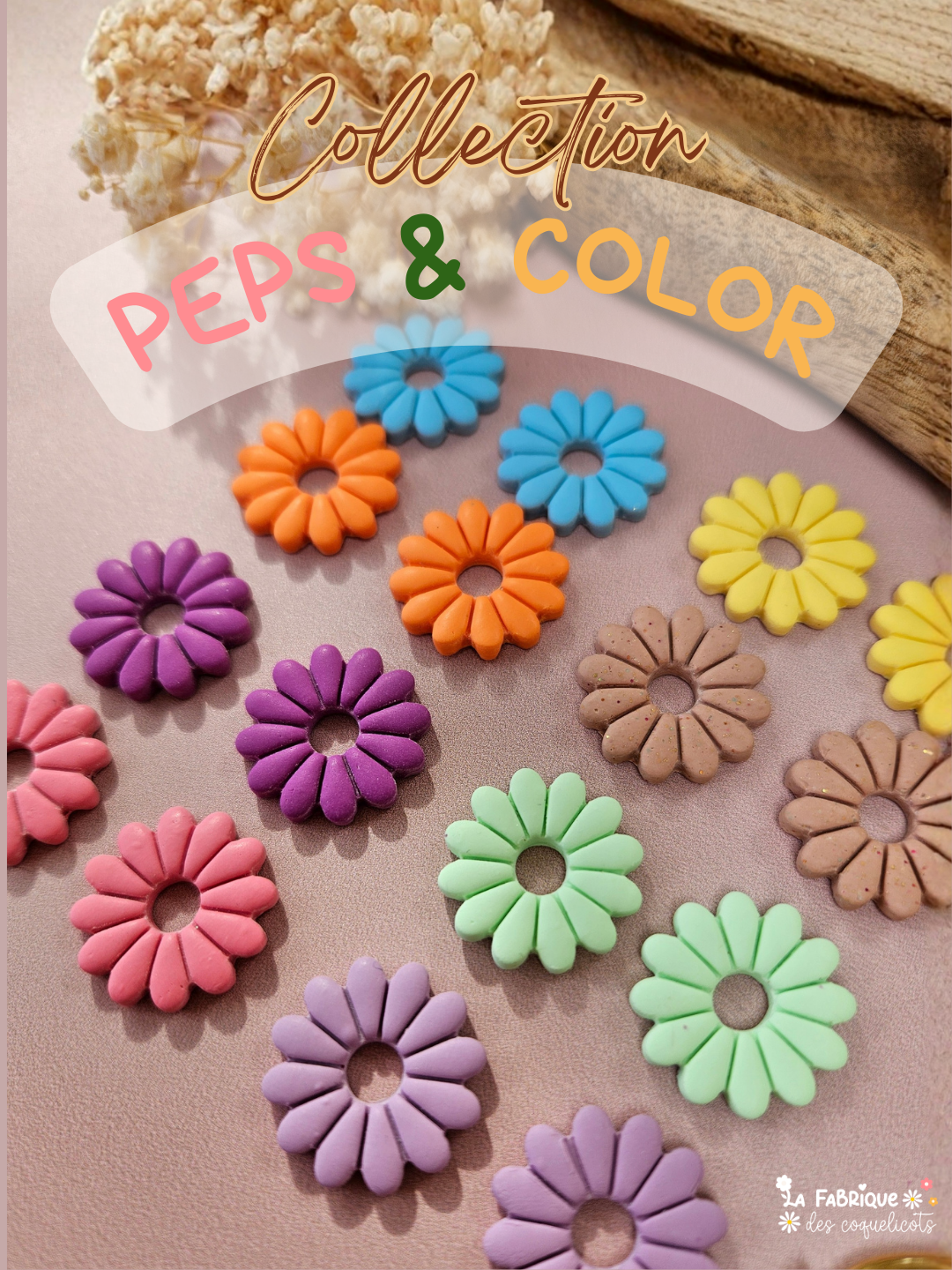 Collection PEPS & COLOR
