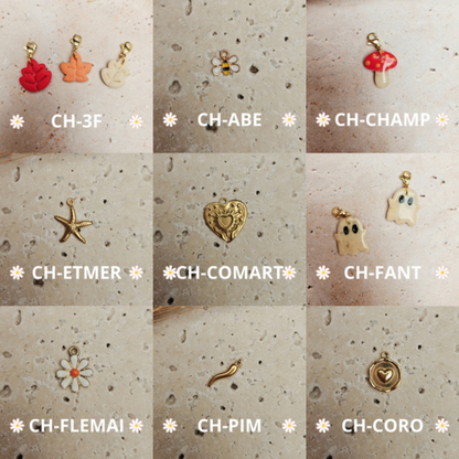 Bracelet à charms interchangeables