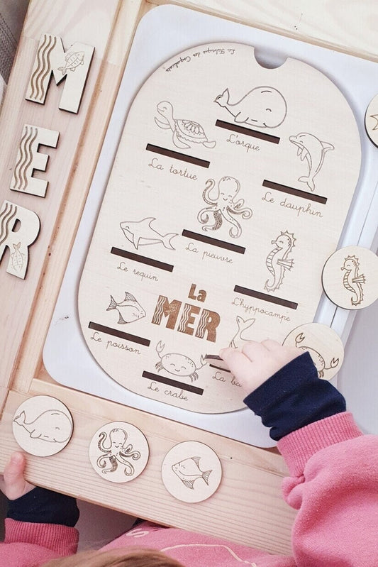 Couvercle TROFAST / La MER / educatif  / nomenclature / Montessori