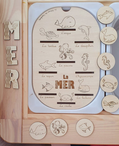 Couvercle TROFAST / La MER / educatif  / nomenclature / Montessori