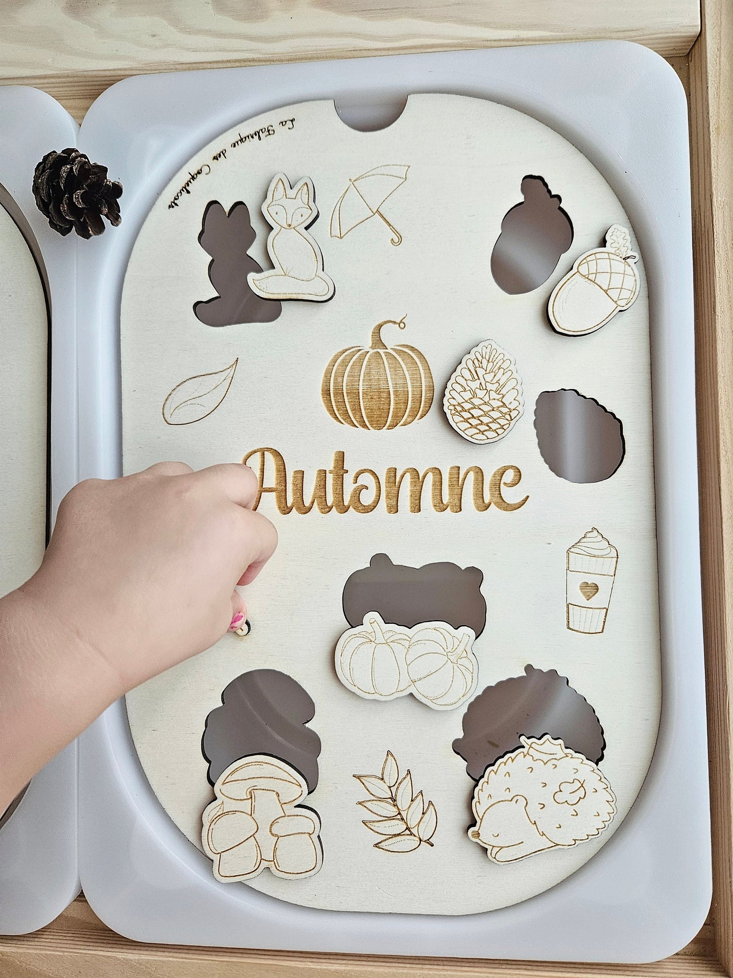 Couvercle TROFAST / AUTOMNE / saison / jeu automne / éducatif / / activité enfant / nomenclature / Montessori