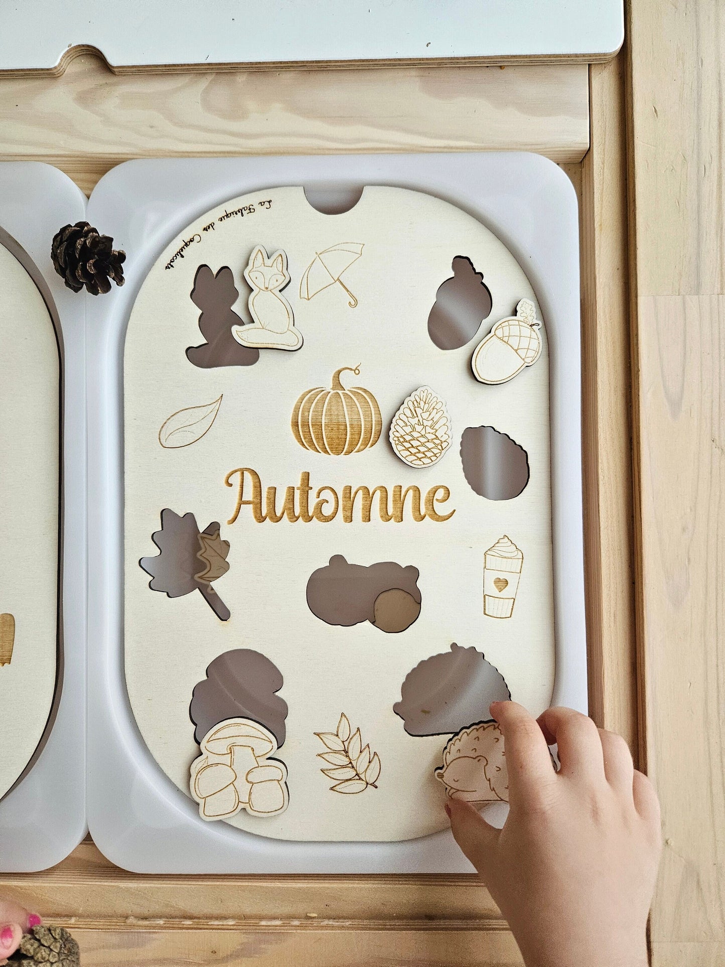Couvercle TROFAST / AUTOMNE / saison / jeu automne / éducatif / / activité enfant / nomenclature / Montessori
