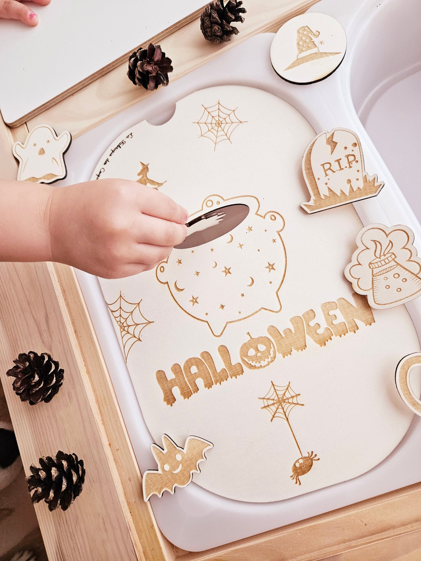 Couvercle TROFAST / Halloween / sorcière / fête halloween / éducatif / cartable / activité enfant / nomenclature / Montessori