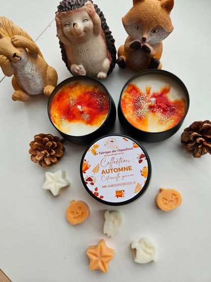 Bougie édition limité halloween  / automne / magie, soirée automne hello fall déco intérieur automne