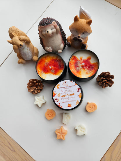 Bougie édition limité halloween  / automne / magie, soirée automne hello fall déco intérieur automne