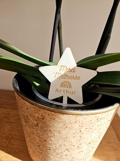Etiquette/pic à planter- cadeau personnalisé - fleur bois à planter étoile cadeau femme nounou papa homme papy annonce mariage étoile