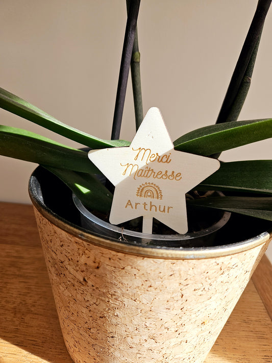 Etiquette/pic à planter- cadeau personnalisé - fleur bois à planter étoile cadeau femme nounou papa homme papy annonce mariage étoile