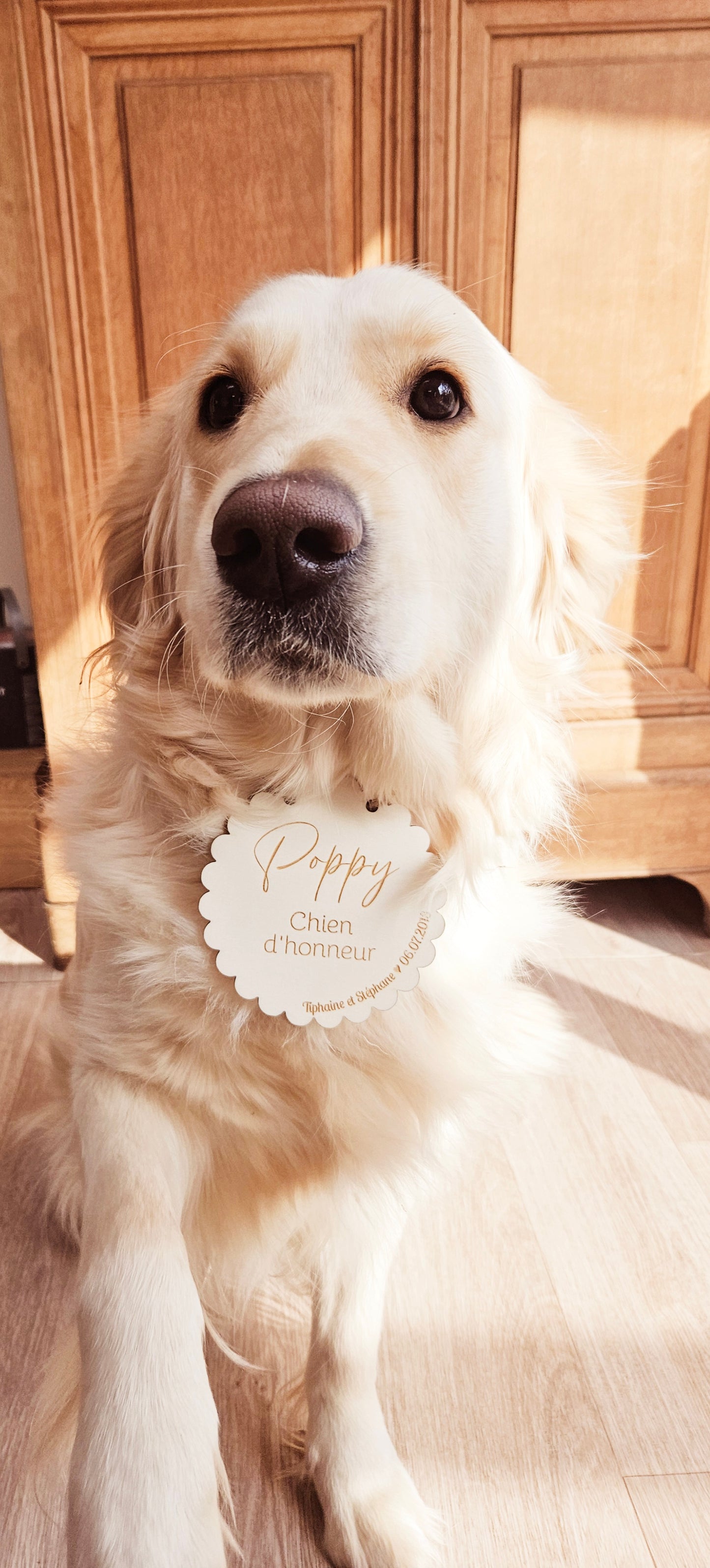 Pancarte en bois personnalisée "CHIEN D'honneur" / mariage / décoration mariage