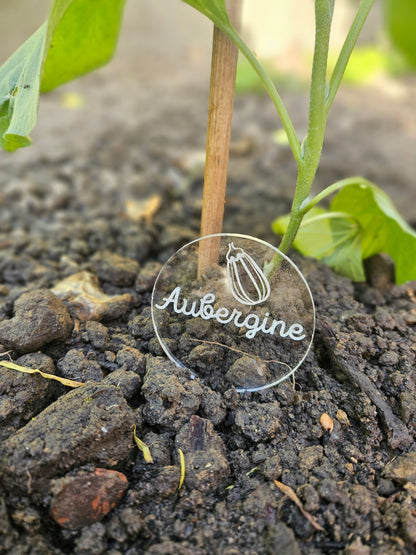 Pics à planter personnalisés en acrylique transparent – Étiquettes potager pour légumes, fruits et aromates 🌱