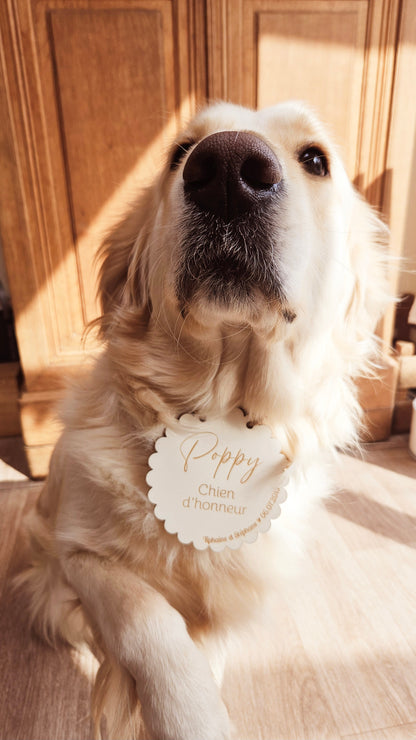 Pancarte en bois personnalisée "CHIEN D'honneur" / mariage / décoration mariage