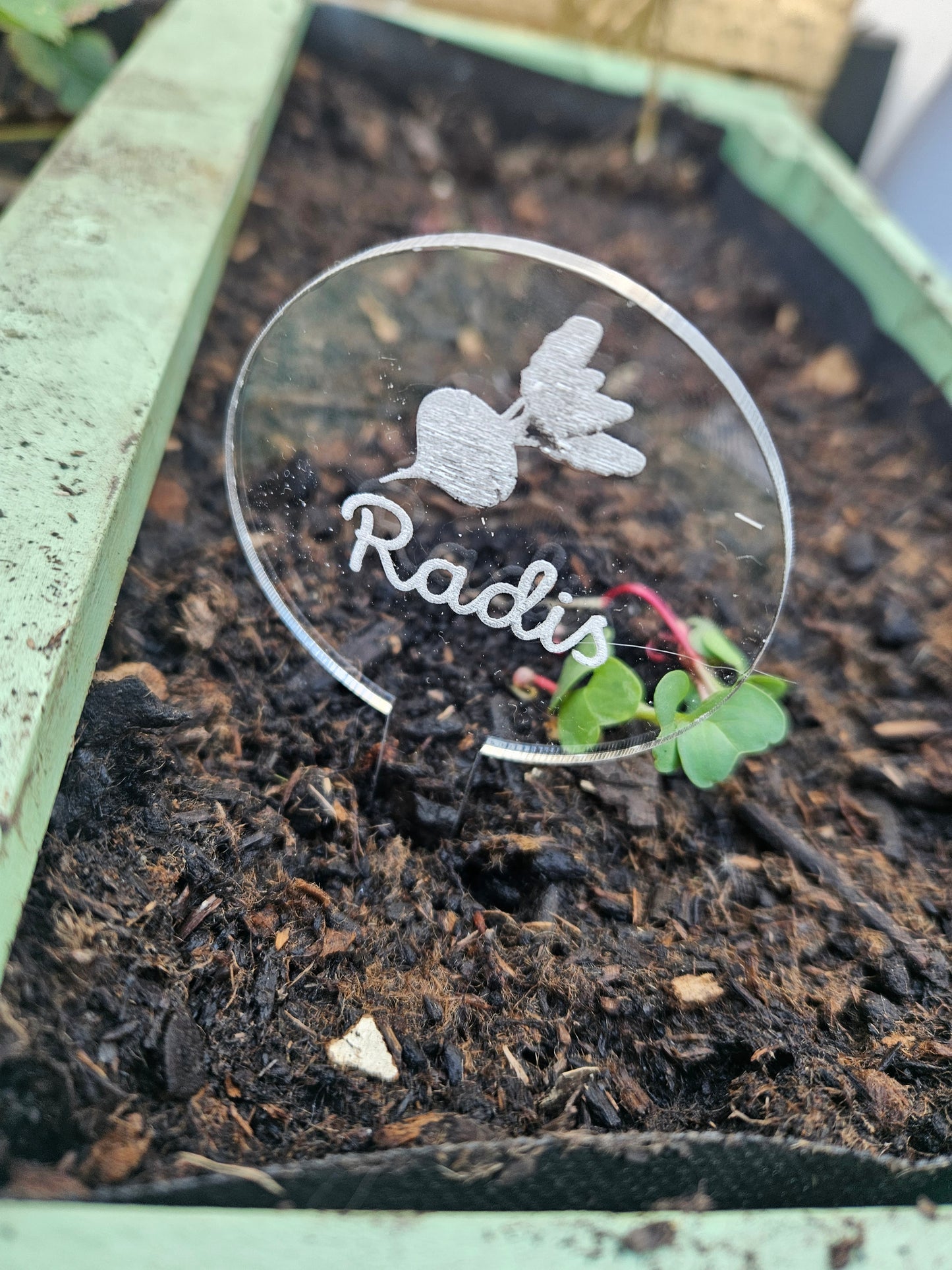 Pics à planter personnalisés en acrylique transparent – Étiquettes potager pour légumes, fruits et aromates 🌱