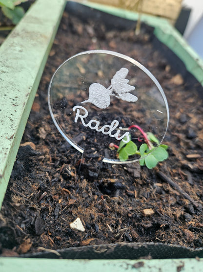 Pics à planter personnalisés en acrylique transparent – Étiquettes potager pour légumes, fruits et aromates 🌱