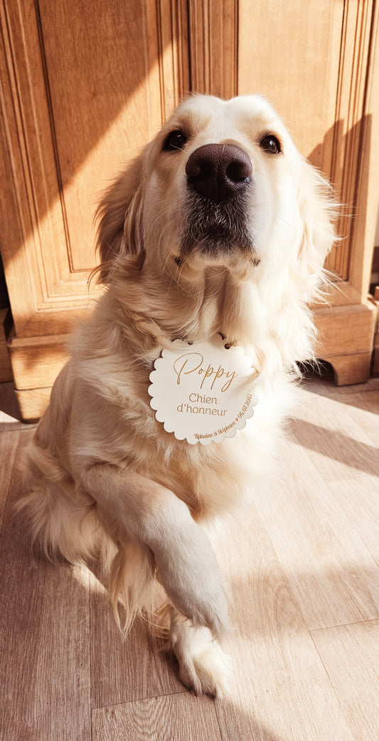 Pancarte en bois personnalisée "CHIEN D'honneur" / mariage / décoration mariage