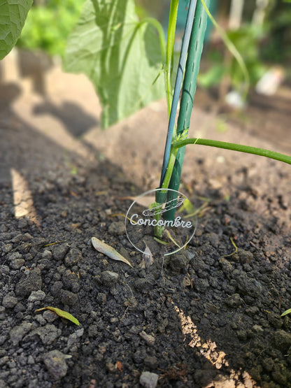 Pics à planter personnalisés en acrylique transparent – Étiquettes potager pour légumes, fruits et aromates 🌱