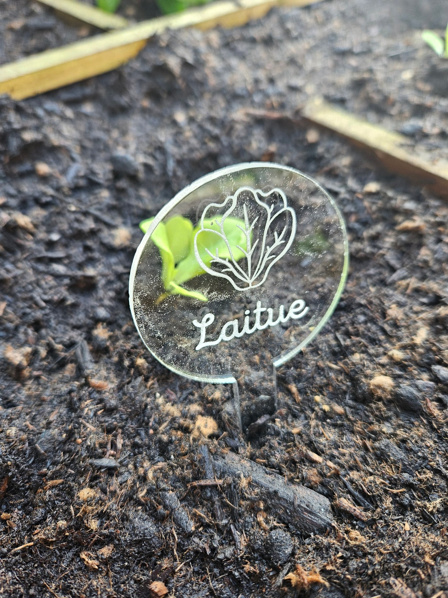 Pics à planter personnalisés en acrylique transparent – Étiquettes potager pour légumes, fruits et aromates 🌱