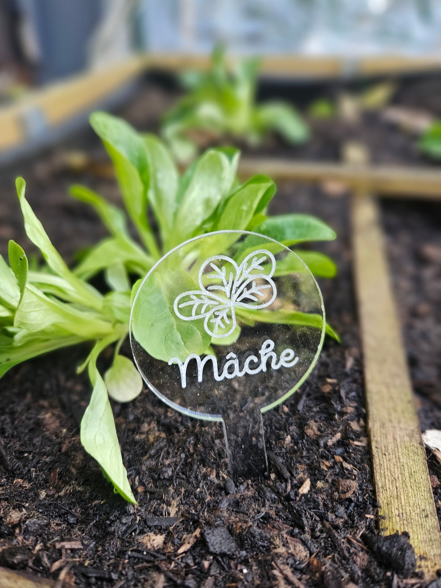 Pics à planter personnalisés en acrylique transparent – Étiquettes potager pour légumes, fruits et aromates 🌱