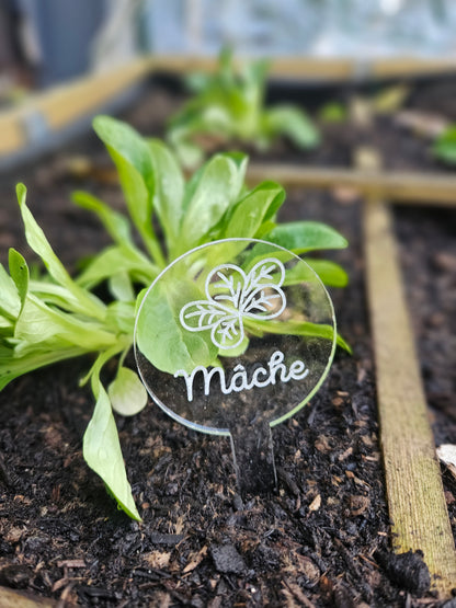 Pics à planter personnalisés en acrylique transparent – Étiquettes potager pour légumes, fruits et aromates 🌱