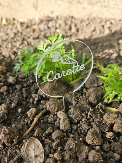Pics à planter personnalisés en acrylique transparent – Étiquettes potager pour légumes, fruits et aromates 🌱