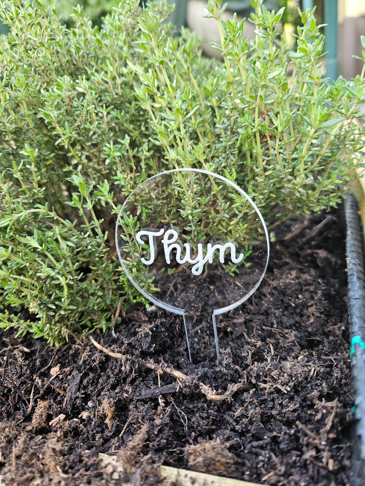 Pics à planter personnalisés en acrylique transparent – Étiquettes potager pour légumes, fruits et aromates 🌱