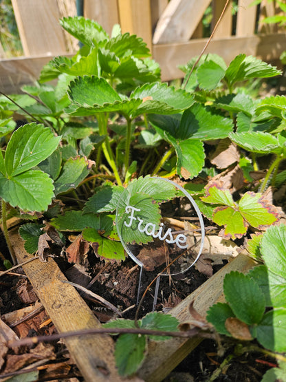 Pics à planter personnalisés en acrylique transparent – Étiquettes potager pour légumes, fruits et aromates 🌱