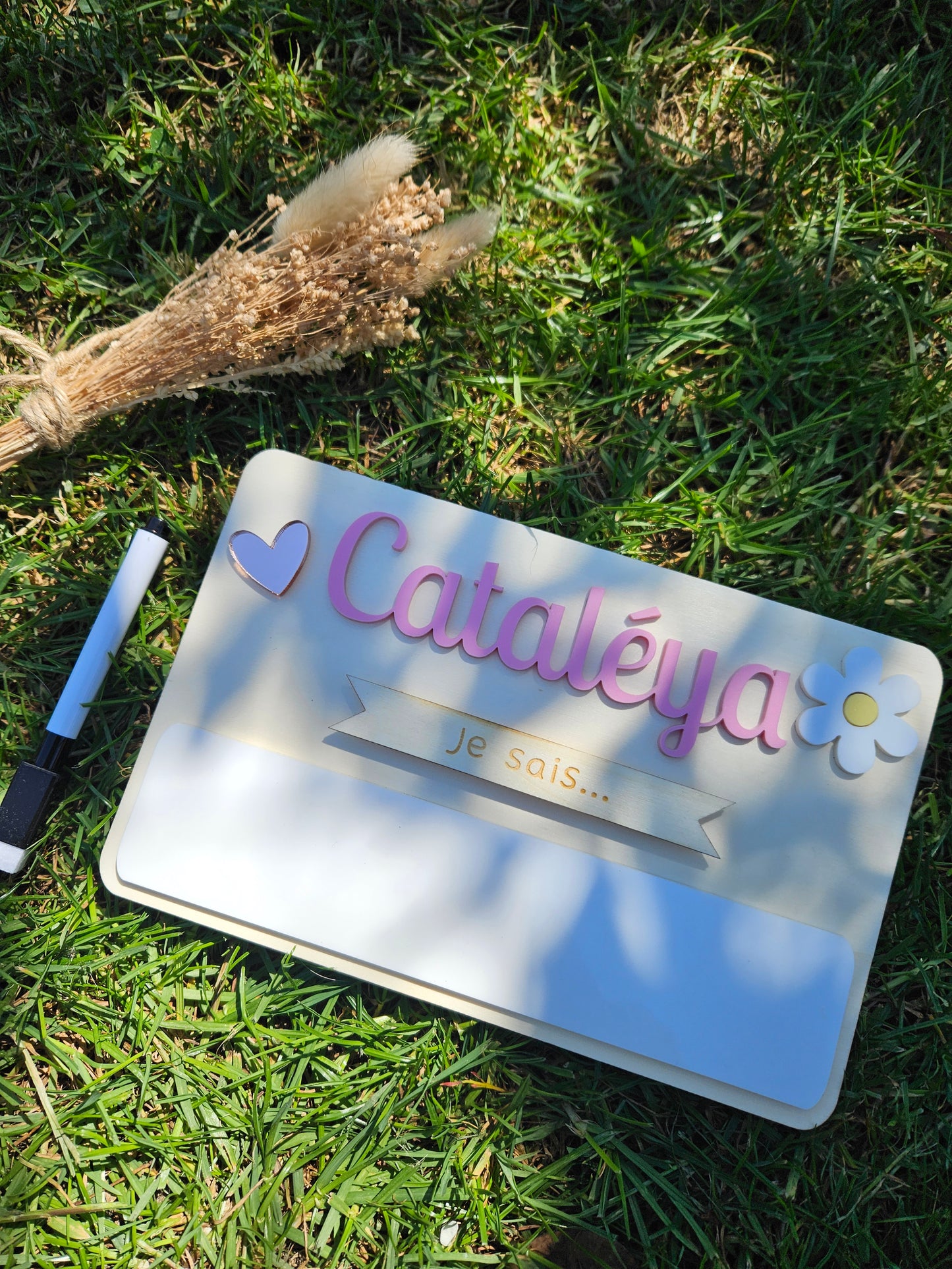 Pancarte rentrée des classes - prénom couleur - effaçable - durable