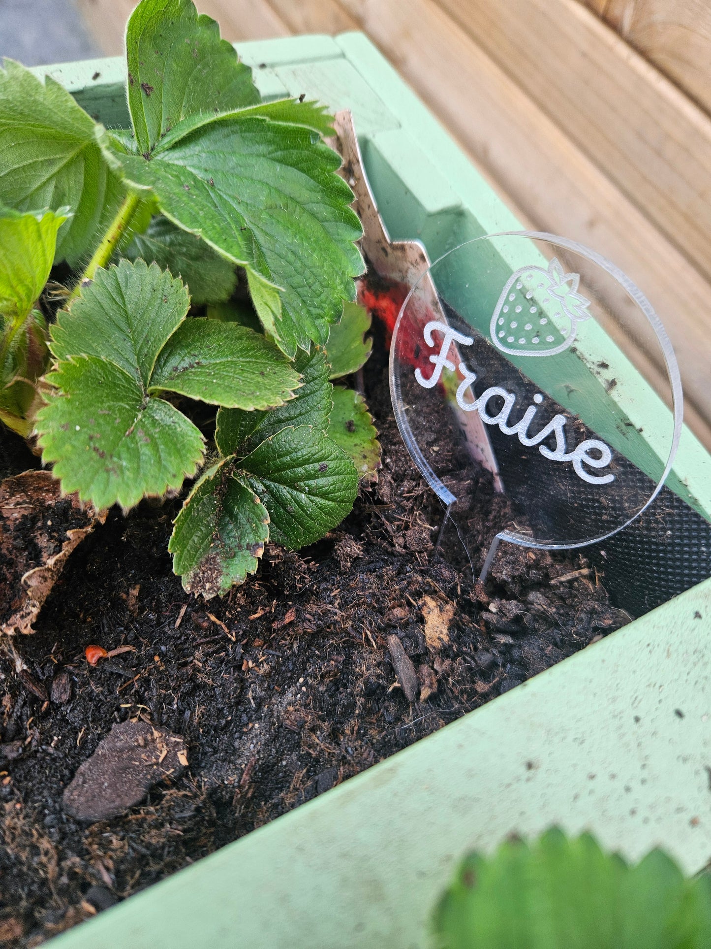 Pics à planter personnalisés en acrylique transparent – Étiquettes potager pour légumes, fruits et aromates 🌱